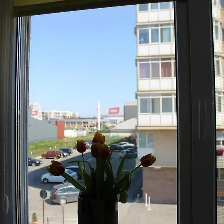 Apartment Super Apartament Vivo